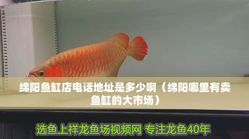 綿陽魚缸店電話地址是多少啊（綿陽哪里有賣魚缸的大市場(chǎng)） 綿陽魚缸店電話地址是多少啊（綿陽哪里有賣魚缸的大市場(chǎng)） 全國水族館企業(yè)名錄