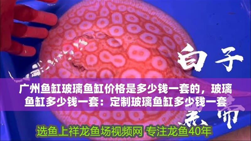 廣州魚(yú)缸玻璃魚(yú)缸價(jià)格是多少錢(qián)一套的，玻璃魚(yú)缸多少錢(qián)一套：定制玻璃魚(yú)缸多少錢(qián)一套