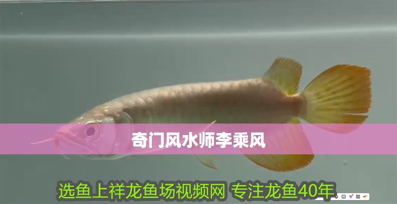 奇門風(fēng)水師李乘風(fēng) 奇門風(fēng)水師李乘風(fēng) 龍魚論壇