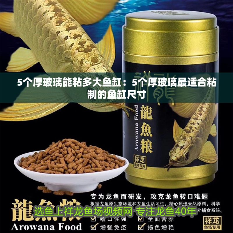 5個厚玻璃能粘多大魚缸：5個厚玻璃最適合粘制的魚缸尺寸
