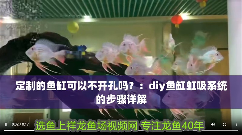 定制的魚缸可以不開孔嗎？：diy魚缸虹吸系統(tǒng)的步驟詳解
