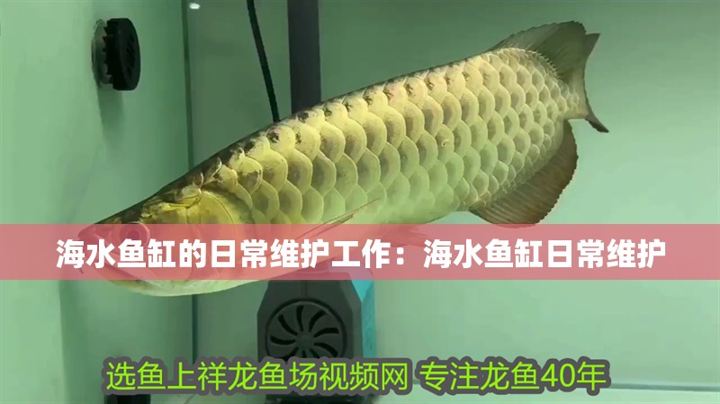 海水魚缸的日常維護工作：海水魚缸日常維護 海水魚缸的日常維護工作：海水魚缸日常維護 魚缸百科