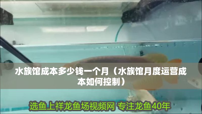 水族館成本多少錢一個月（水族館月度運營成本如何控制）