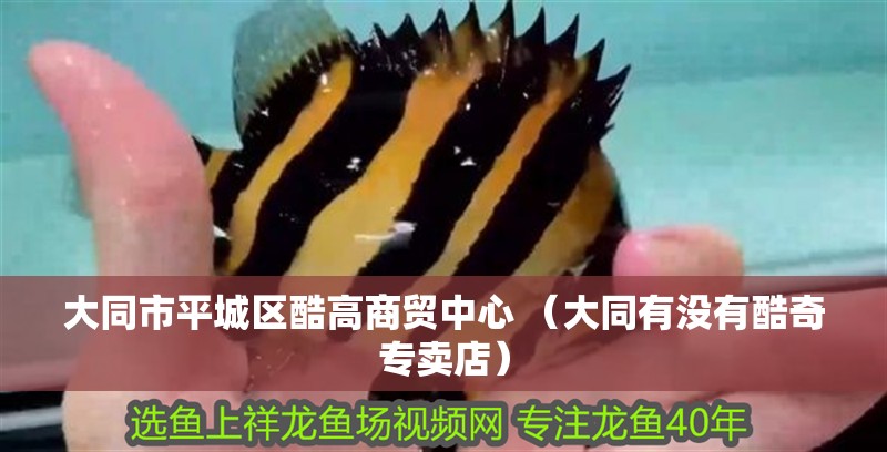 印尼虎魚多少溫度飼養(yǎng)最好:印尼虎魚多少溫度飼養(yǎng)最好印尼虎魚多少溫度飼養(yǎng)最好 大同市平城區(qū)酷高商貿(mào)中心 (大同有沒有酷奇專賣店) 全國(guó)水族館企業(yè)名錄 大同市平城區(qū)酷高商貿(mào)中心 (大同有沒有酷奇專賣店) 大同市平城區(qū)酷高商貿(mào)中心 (大同有沒有酷奇專賣店) 全國(guó)水族館企業(yè)名錄