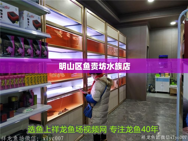 <strong><mark>明山</mark></strong>區魚貴坊水族店