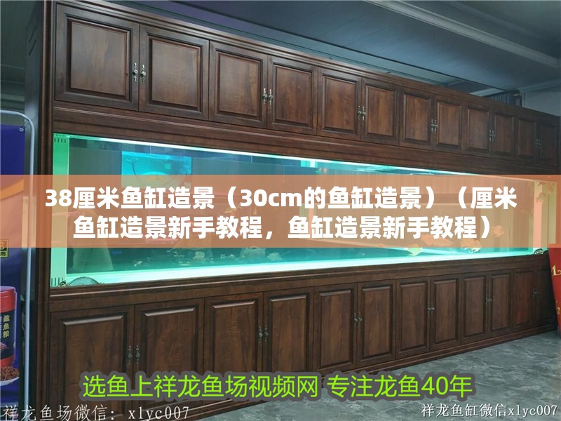 38厘米魚缸造景（30cm的魚缸造景）（厘米魚缸造景新手教程，魚缸造景新手教程）