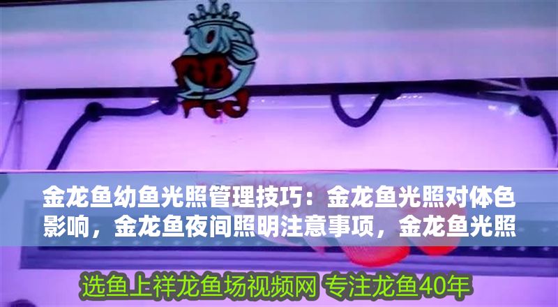 金龍魚幼魚光照管理技巧：金龍魚光照對體色影響，金龍魚夜間照明注意事項，金龍魚光照強度調節方法