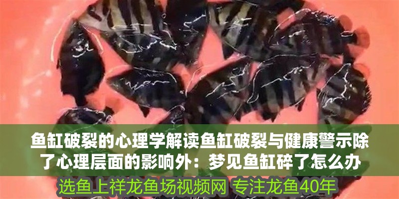 魚缸破裂的心理學解讀魚缸破裂與健康警示除了心理層面的影響外：夢見魚缸碎了怎么辦