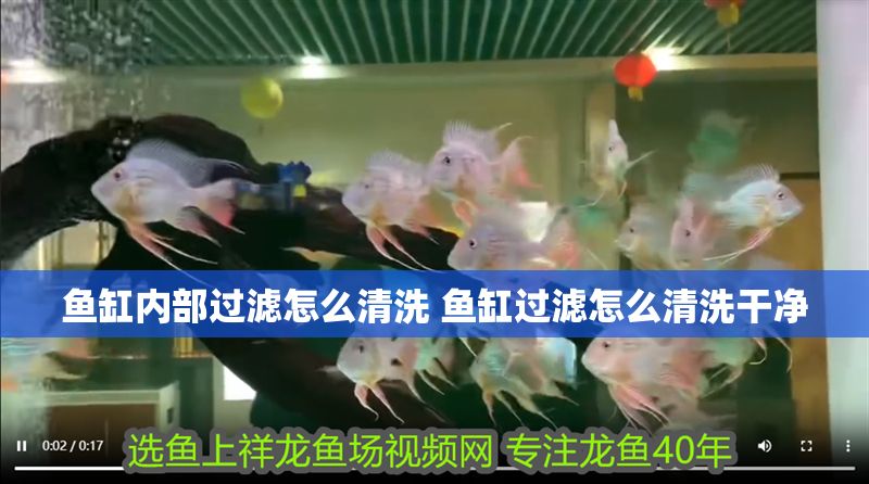 魚缸內部過濾怎么清洗 魚缸過濾怎么清洗干凈 虎魚百科 第1張 魚缸內部過濾怎么清洗 魚缸過濾怎么清洗干凈 魚缸內部過濾怎么清洗 魚缸過濾怎么清洗干凈 虎魚百科 第1張