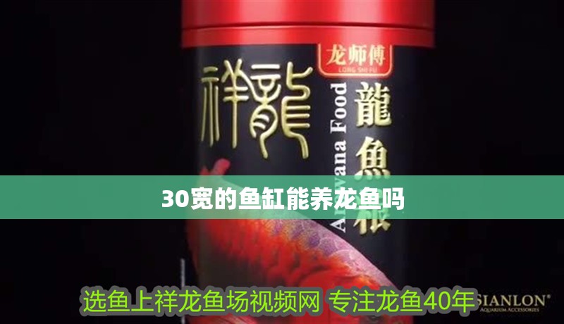 30寬的魚(yú)缸能養(yǎng)龍魚(yú)嗎