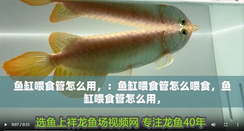 魚缸喂食管怎么用，：魚缸喂食管怎么喂食，魚缸喂食管怎么用，