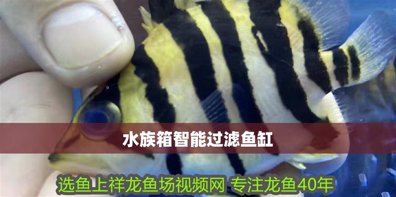 水族箱智能過濾魚缸