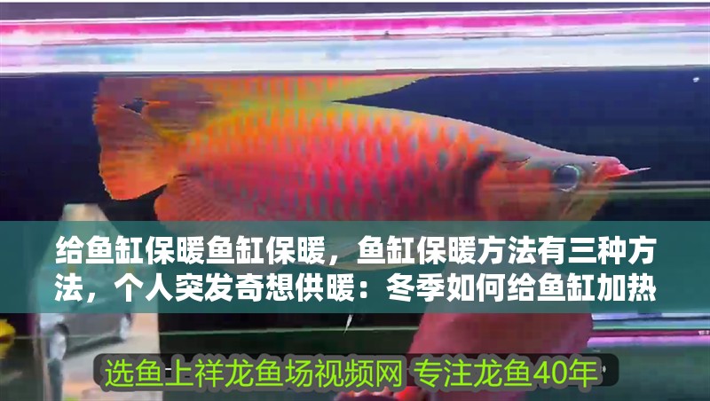 給魚缸保暖魚缸保暖，魚缸保暖方法有三種方法，個人突發奇想供暖：冬季如何給魚缸加熱