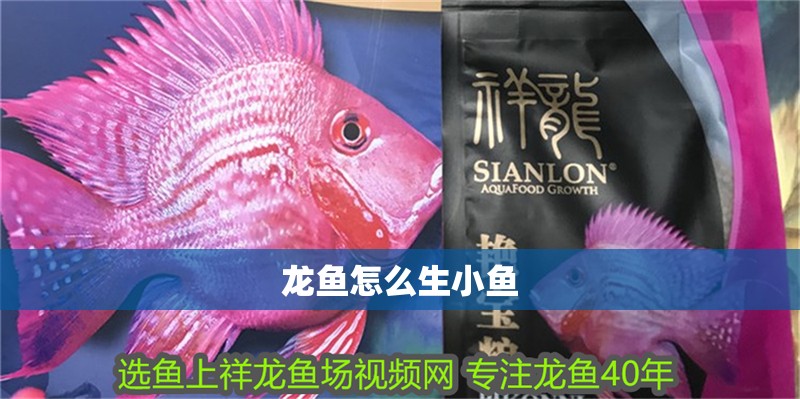 龍魚怎么生小魚