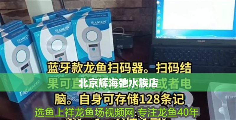 北京輝海弛水族店 北京輝海弛水族店 全國(guó)水族館企業(yè)名錄