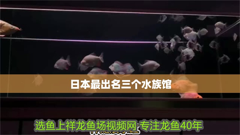 日本最出名三個(gè)水族館