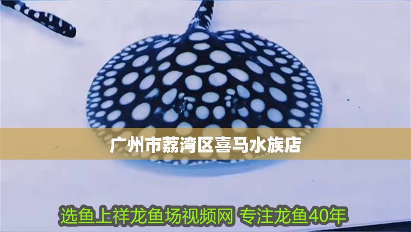 廣州市荔灣區(qū)喜馬水族店