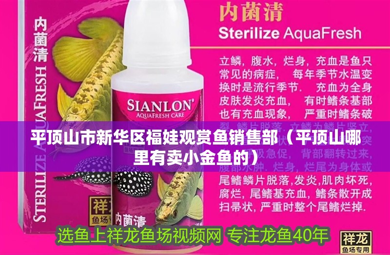 平頂山市新華區(qū)福娃觀賞魚(yú)銷售部（平頂山哪里有賣小金魚(yú)的） 平頂山市新華區(qū)福娃觀賞魚(yú)銷售部（平頂山哪里有賣小金魚(yú)的） 全國(guó)水族館企業(yè)名錄