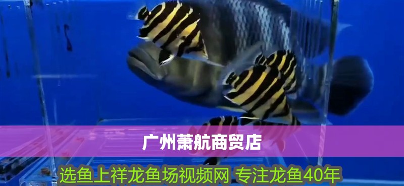 廣州蕭航商貿店