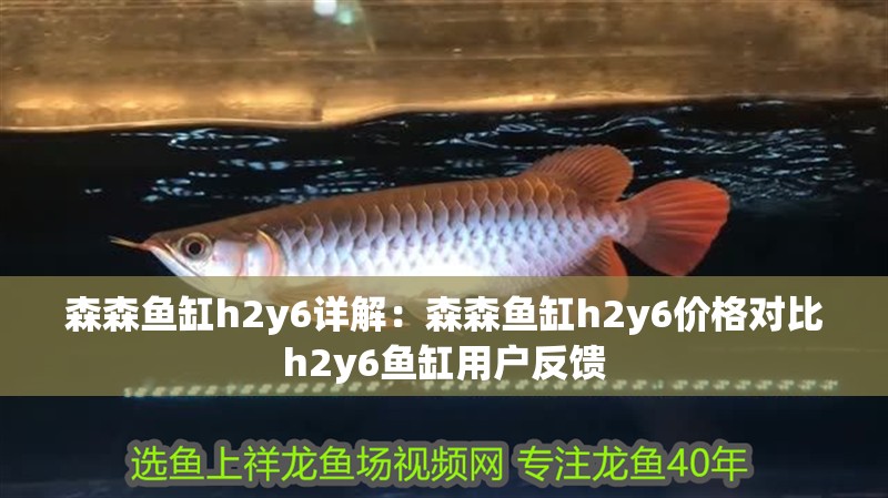 森森魚缸h2y6詳解：森森魚缸h2y6價格對比h2y6魚缸用戶反饋