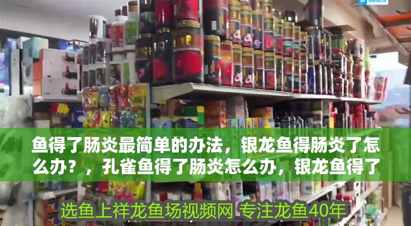 魚得了腸炎最簡單的辦法，銀龍魚得腸炎了怎么辦？，孔雀魚得了腸炎怎么辦，銀龍魚得了腸炎怎么辦 魚得了腸炎最簡單的辦法，銀龍魚得腸炎了怎么辦？，孔雀魚得了腸炎怎么辦，銀龍魚得了腸炎怎么辦 銀龍魚百科