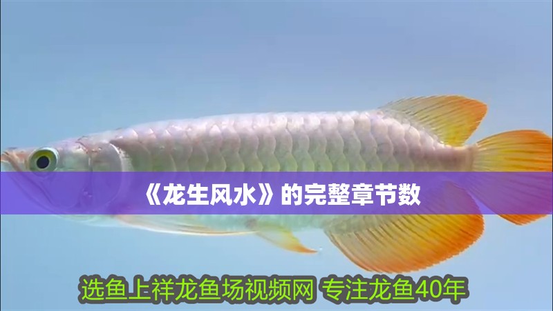 《龍生風水》的完整章節(jié)數(shù)