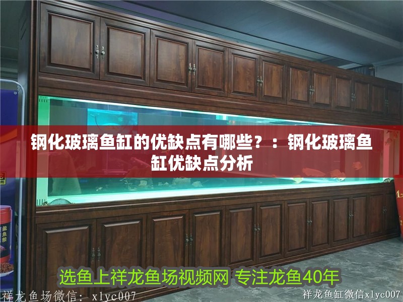 鋼化玻璃魚缸的優缺點有哪些？：鋼化玻璃魚缸優缺點分析 鋼化玻璃魚缸的優缺點有哪些？：鋼化玻璃魚缸優缺點分析 魚缸百科