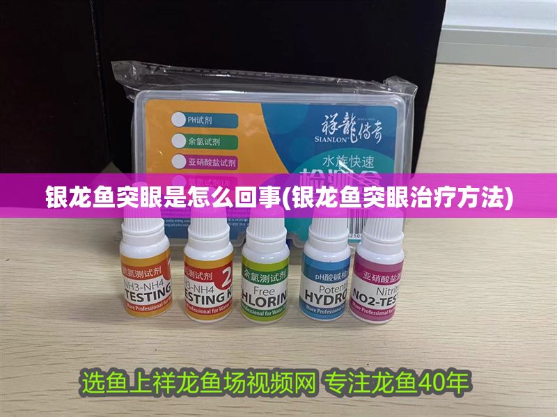 銀龍魚(yú)突眼是怎么回事(銀龍魚(yú)突眼治療方法)