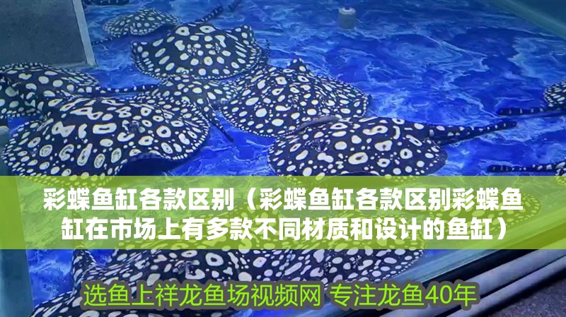 彩蝶魚缸各款區別（彩蝶魚缸各款區別彩蝶魚缸在市場上有多款不同材質和設計的魚缸）
