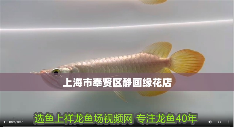 上海市奉賢區(qū)靜畫緣花店