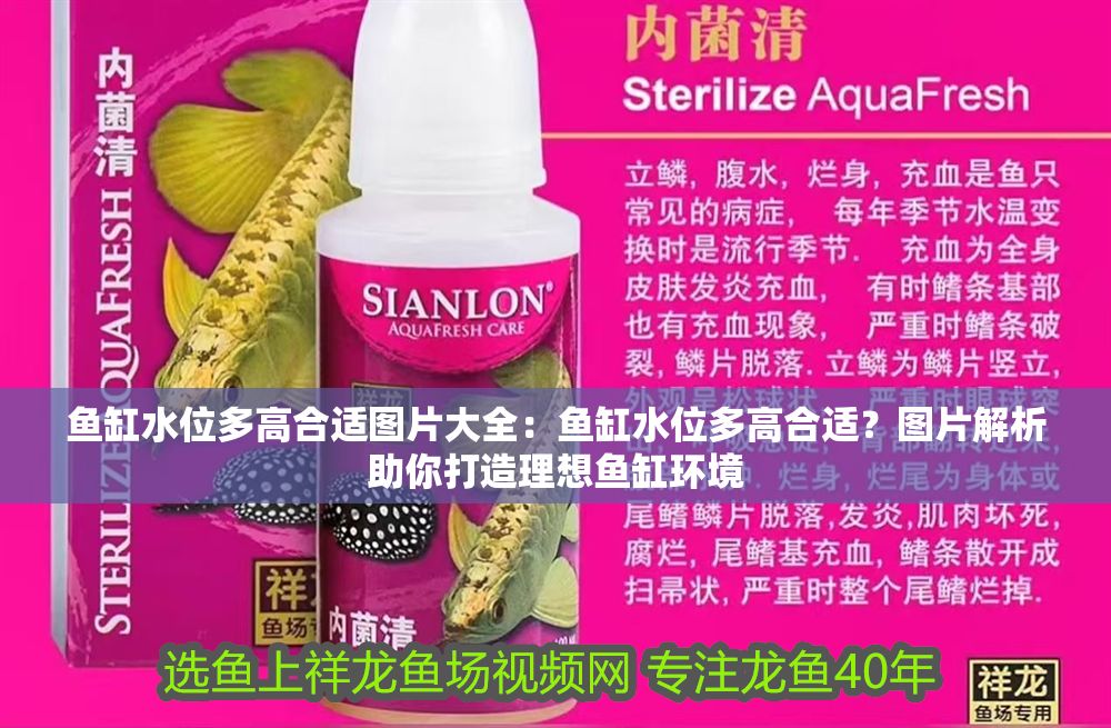 魚缸水位多高合適圖片大全：魚缸水位多高合適？圖片解析助你打造理想魚缸環境