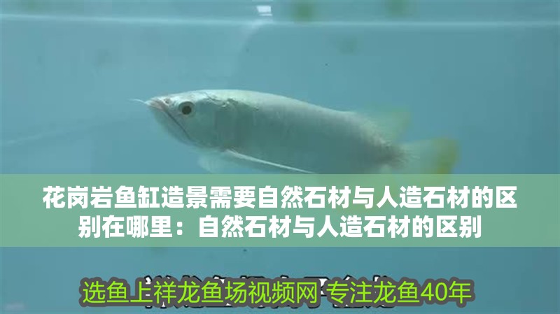 花崗巖魚缸造景需要自然石材與人造石材的區(qū)別在哪里：自然石材與人造石材的區(qū)別