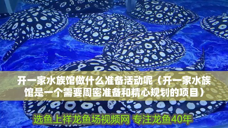 開一家水族館做什么準備活動呢（開一家水族館是一個需要周密準備和精心規劃的項目）