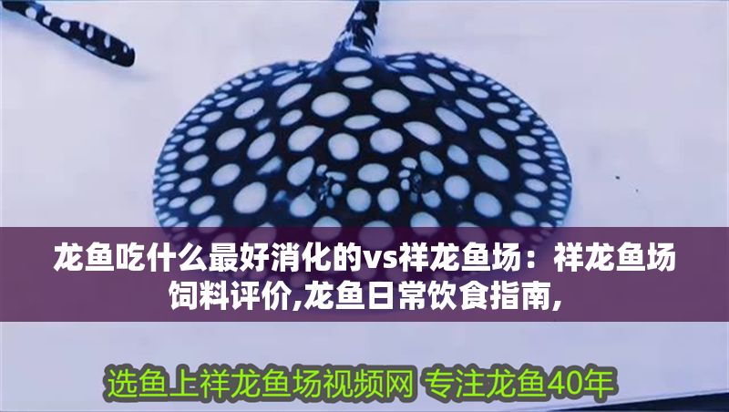 龍魚吃什么最好消化的vs祥龍魚場：祥龍魚場飼料評價,龍魚日常飲食指南,