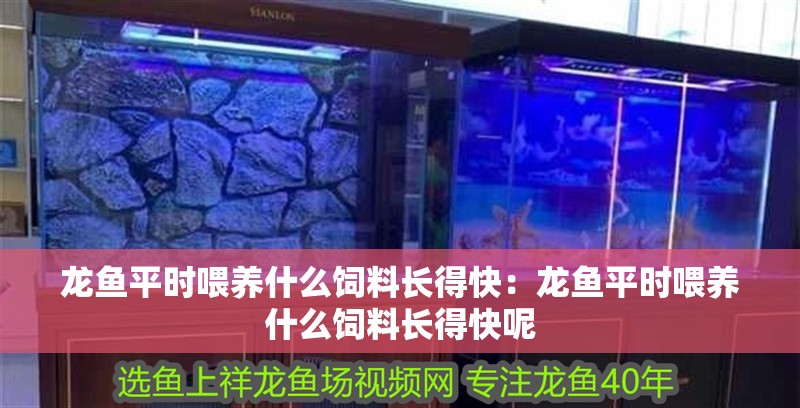 龍魚平時喂養什么飼料長得快：龍魚平時喂養什么飼料長得快呢