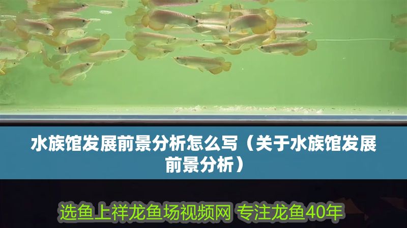 水族館發展前景分析怎么寫（關于水族館發展前景分析） 水族館發展前景分析怎么寫（關于水族館發展前景分析） 水族館百科（水族館加盟） 第1張