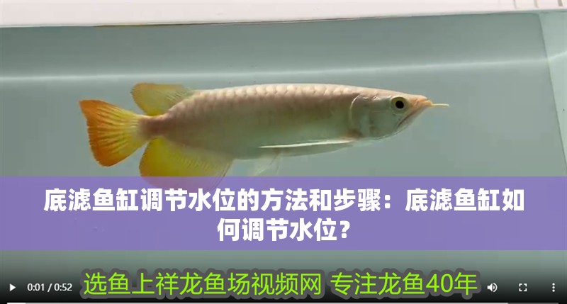底濾魚缸調節水位的方法和步驟：底濾魚缸如何調節水位？