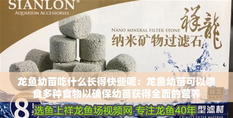 龍魚幼苗吃什么長得快些呢：龍魚幼苗可以喂食多種食物以確保幼苗獲得全面的營養