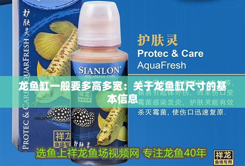 龍魚缸一般要多高多寬：關(guān)于龍魚缸尺寸的基本信息