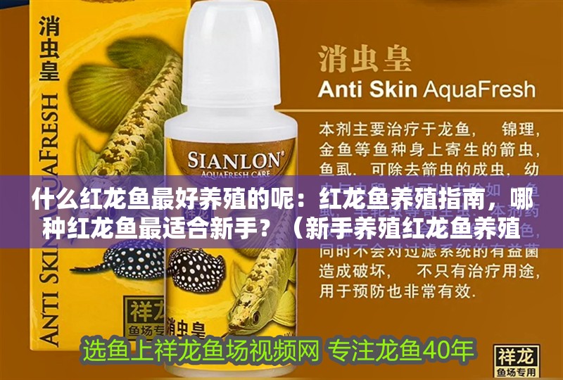 什么紅龍魚最好養殖的呢：紅龍魚養殖指南，哪種紅龍魚最適合新手？（新手養殖紅龍魚養殖紅龍魚的優缺點：紅龍魚養殖指南）