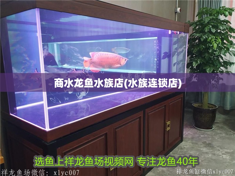 商水龍魚水族店(水族連鎖店)