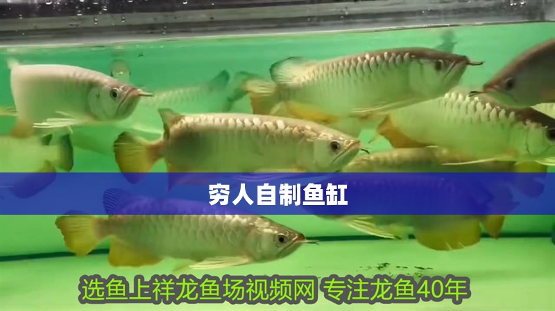 窮人自制魚缸
