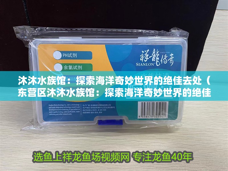沐沐水族館：探索海洋奇妙世界的絕佳去處（東營區沐沐水族館：探索海洋奇妙世界的絕佳去處） 沐沐水族館：探索海洋奇妙世界的絕佳去處（東營區沐沐水族館：探索海洋奇妙世界的絕佳去處） 全國水族館企業名錄