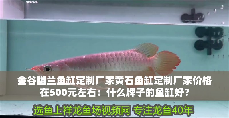 龍魚干蝦有營養(yǎng)嗎 金谷幽蘭魚缸定制廠家黃石魚缸定制廠家價格在500元左右:什么牌子的魚缸好? 魚缸百科 金谷幽蘭魚缸定制廠家黃石魚缸定制廠家價格在500元左右:什么牌子的魚缸好? 金谷幽蘭魚缸定制廠家黃石魚缸定制廠家價格在500元左右:什么牌子的魚缸好? 魚缸百科
