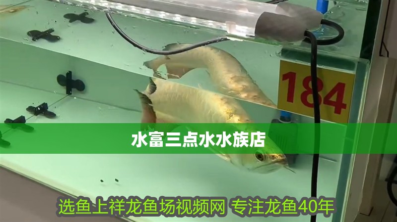 <strong><mark>水富</mark></strong>三點水水族店