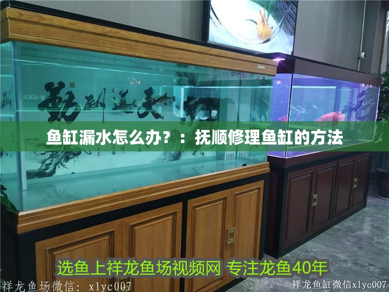 魚缸漏水怎么辦？：撫順修理魚缸的方法 魚缸漏水怎么辦？：撫順修理魚缸的方法 魚缸百科