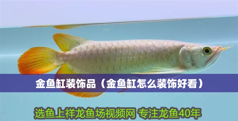金魚缸裝飾品（金魚缸怎么裝飾好看）