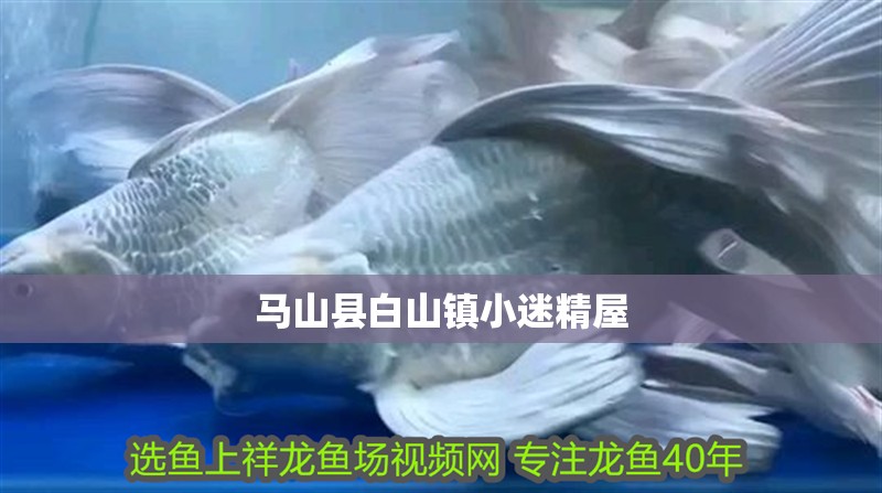 馬山縣白山鎮(zhèn)小迷精屋