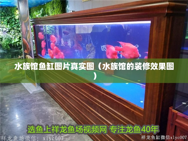 水族館魚缸圖片真實圖（水族館的裝修效果圖）