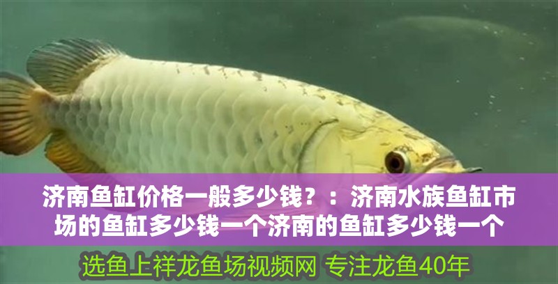 濟南魚缸價格一般多少錢？：濟南水族魚缸市場的魚缸多少錢一個濟南的魚缸多少錢一個